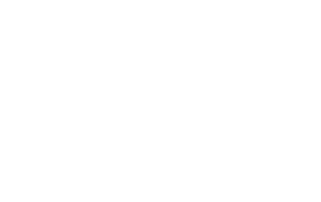 logo2